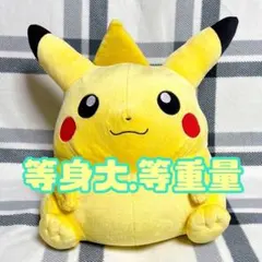 2026年最新】beams ピカチュウ 等身大の人気アイテム - メルカリ