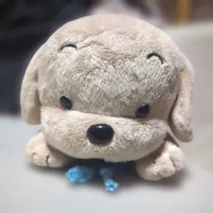 2026年最新】うめ吉 ぬいぐるみ 寝そべりの人気アイテム - メルカリ