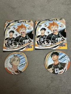 2026年最新】ハイキュー菅原 缶バッジの人気アイテム - メルカリ