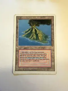 2026年最新】volcanic islandの人気アイテム - メルカリ