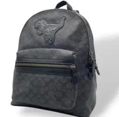 2026年最新】coach レキシーの人気アイテム - メルカリ