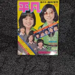 2026年最新】平凡 昭和の人気アイテム - メルカリ