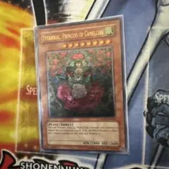 2026年最新】ティタニアル レリーフの人気アイテム - メルカリ