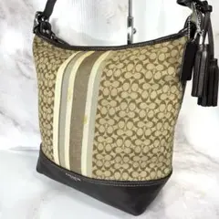 coach コーチ シグネチャー ショルダーバッグ ハンドバッグ ソーホー