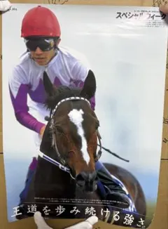 2026年最新】JRAヒーロー列伝ポスターの人気アイテム - メルカリ