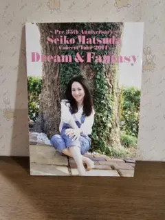 2026年最新】松田聖子 コンサート パンフレットの人気アイテム - メルカリ