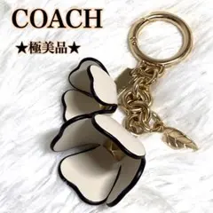 2026年最新】コーチ ティーローズ キーホルダーの人気アイテム - メルカリ
