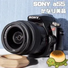 2026年最新】sony α55 レンズの人気アイテム - メルカリ