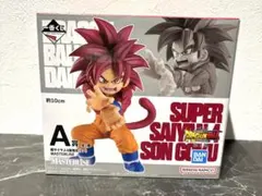 m54505951940_1.jpg?1767358890