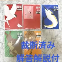 2026年最新】予習シリーズ 裁断の人気アイテム - メルカリ