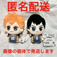 2026年最新】日向翔陽 ちびぐるみの人気アイテム - メルカリ