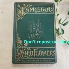 2026年最新】familiar wild flowersの人気アイテム - メルカリ