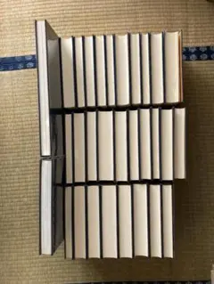 2026年最新】丸山敏雄全集の人気アイテム - メルカリ