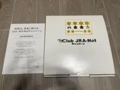 未使用 JRAオリジナルグッズ 有馬記念 皿 記念プレート - メルカリ