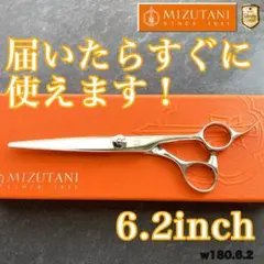 2026年最新】ミズタニシザー セニングの人気アイテム - メルカリ