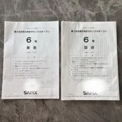 2026年最新】第4回合格力判定サピックスオープンの人気アイテム - メルカリ