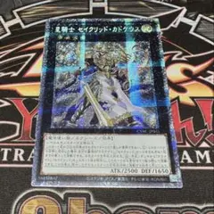 2026年最新】テラナイト アジアの人気アイテム - メルカリ