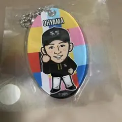 2026年最新】若鷹ガチャの人気アイテム - メルカリ