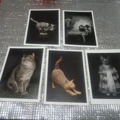 2026年最新】薮内佐斗司の人気アイテム - メルカリ