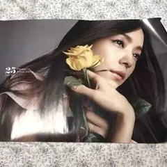 2026年最新】安室奈美恵finallyポスターの人気アイテム - メルカリ