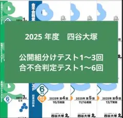 2026年最新】四谷大塚 組分けテスト 6年の人気アイテム - メルカリ