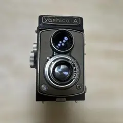 2026年最新】Yashica-Aの人気アイテム - メルカリ