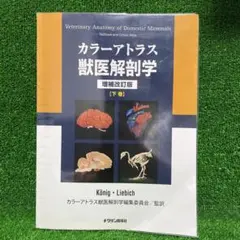 2026年最新】カラーアトラス獣医解剖学〈下巻〉の人気アイテム - メルカリ