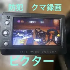 2026年最新】victorメガピクセルの人気アイテム - メルカリ