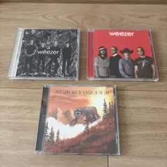 2026年最新】weezer lpの人気アイテム - メルカリ