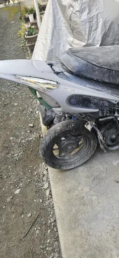 2026年最新】紫紋 dioの人気アイテム - メルカリ