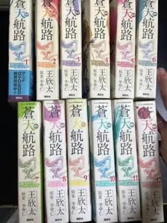 2026年最新】蒼天航路極厚の人気アイテム - メルカリ