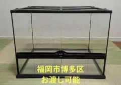 2026年最新】グラステラリウム4545の人気アイテム - メルカリ