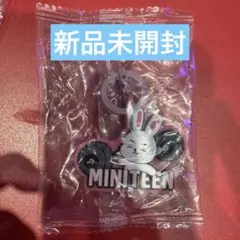2026年最新】ミニティーン seventeen エスクプスの人気アイテム - メルカリ