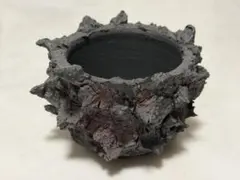 2026年最新】godzilla 鉢の人気アイテム - メルカリ