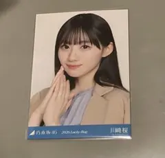 2026年最新】乃木坂46ラッキーバッグ生写真の人気アイテム - メルカリ