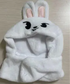 2026年最新】straykids リノ ペンライトカバーの人気アイテム - メルカリ