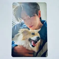 2026年最新】enhypen アンケート トレカ ジェイの人気アイテム - メルカリ