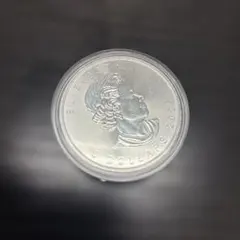 2026年最新】メイプルリーフ銀貨の人気アイテム - メルカリ
