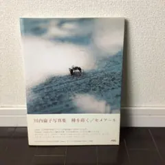 2026年最新】川内倫子 サインの人気アイテム - メルカリ