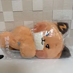 2026年最新】ZeroBaseOne ぬいぐるみ マシューの人気アイテム - メルカリ