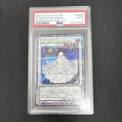 2026年最新】ガーデンローズ 25thの人気アイテム - メルカリ