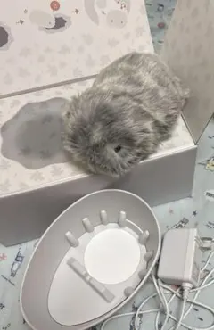 2026年最新】CASIO ぬいぐるみ本体の人気アイテム - メルカリ