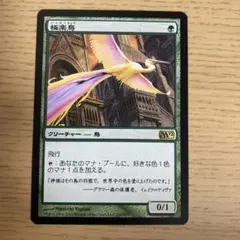 2026年最新】極楽鳥の人気アイテム - メルカリ