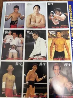 2026年最新】ヒクソングレイシーの人気アイテム - メルカリ