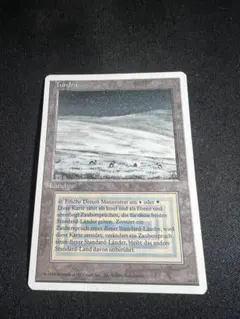 2026年最新】デュアルランドの人気アイテム - メルカリ