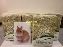 2026年最新】うさぎのしっぽ チモシーの人気アイテム - メルカリ