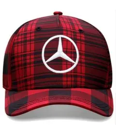 2026年最新】ルイス ハミルトンの人気アイテム - メルカリ