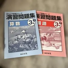 2026年最新】ジュニア予習シリーズ 3年の人気アイテム - メルカリ