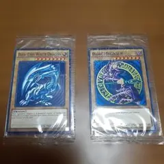 2026年最新】Wcs2015 ブラック・マジシャンの人気アイテム - メルカリ