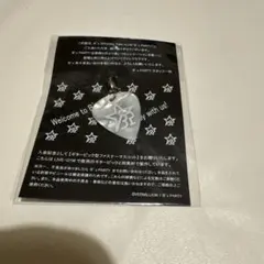 2026年最新】B z ピックの人気アイテム - メルカリ